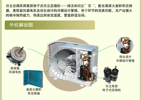 香蕉视频在线免费观看特性